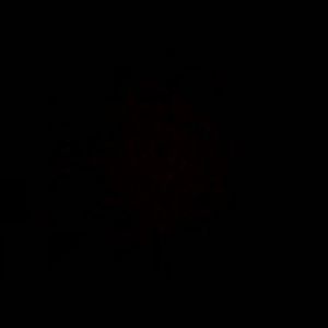 Meet your Posher, Clementine